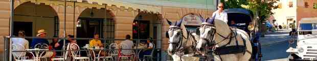 Savignone, una verde esperienza